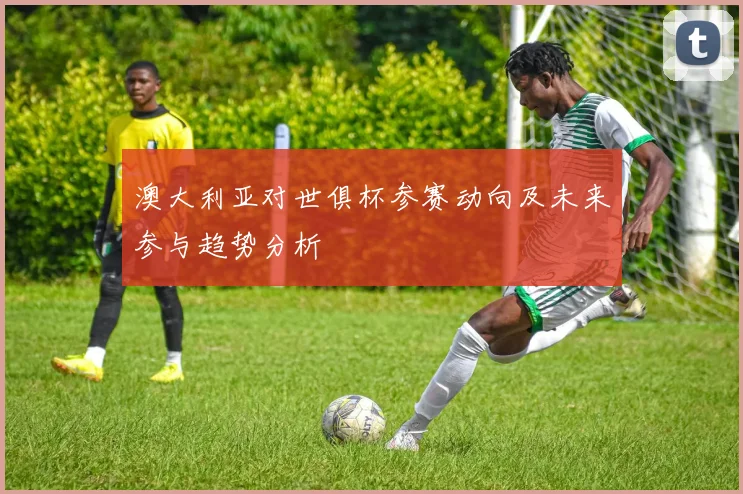 澳大利亚对世俱杯参赛动向及未来参与趋势分析
