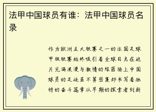 法甲中国球员有谁：法甲中国球员名录