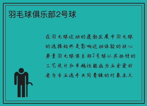 羽毛球俱乐部2号球