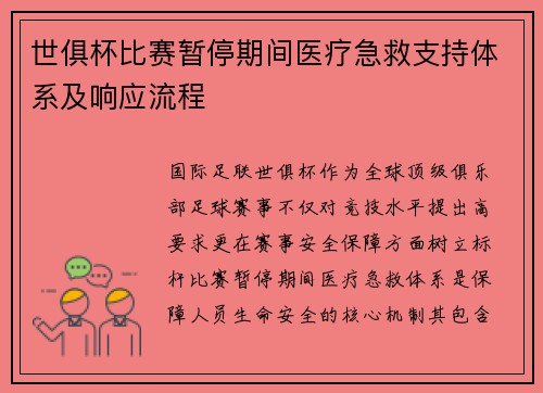 世俱杯比赛暂停期间医疗急救支持体系及响应流程
